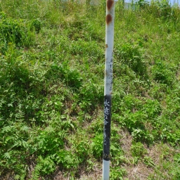 キリスト看板「耶穌的血洗净罪」「わたしを信じる者は永遠の命を持つ」