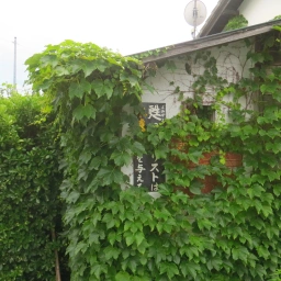 キリスト看板「甦ったキリストは永遠の命を与える」