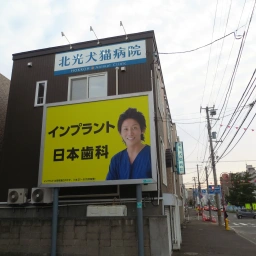 インプラント 日本歯科