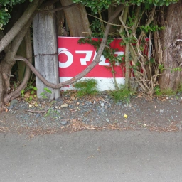 マルフク看板「お問い合せ 本八戸」下半分が地面に埋まっている